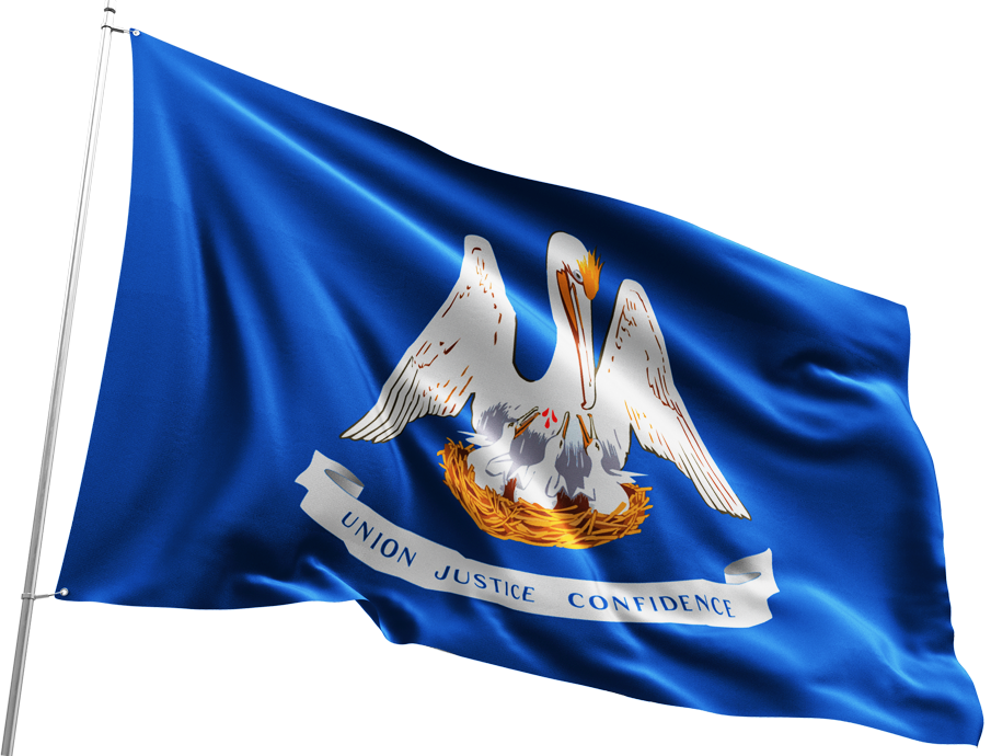 LA Flag-905x690 LA Flag-905x690